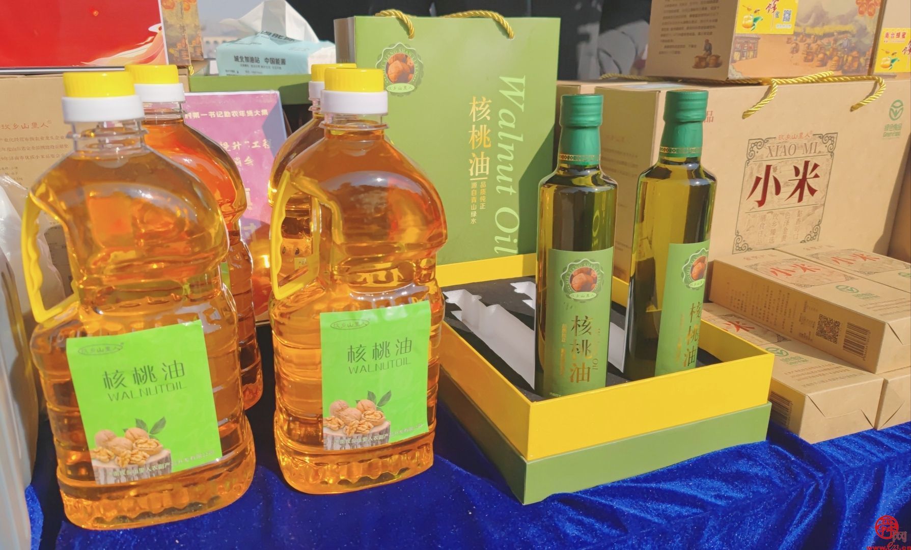 “泉”在济南过大年