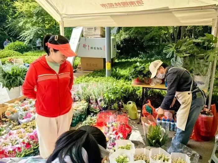 济南“园·林市集”五一专场在花圃公园开市