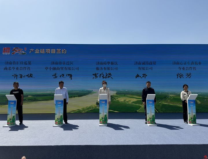 章丘区黄河街道：又到西瓜成熟时，喜看振兴新图景