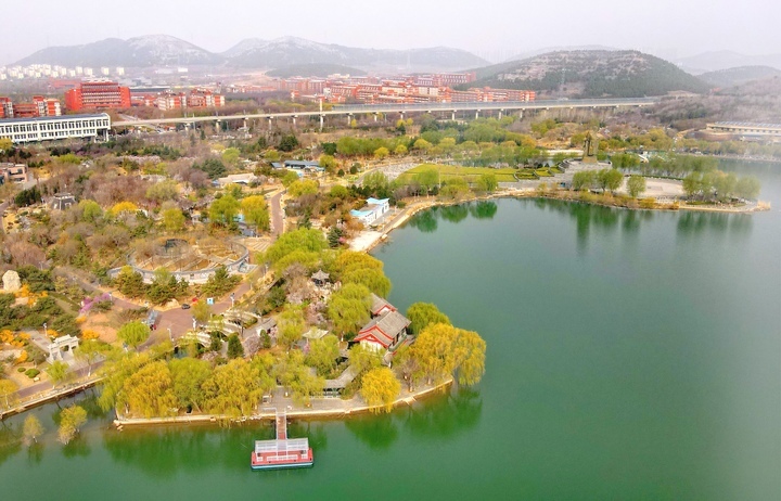 满目青翠 一园春色