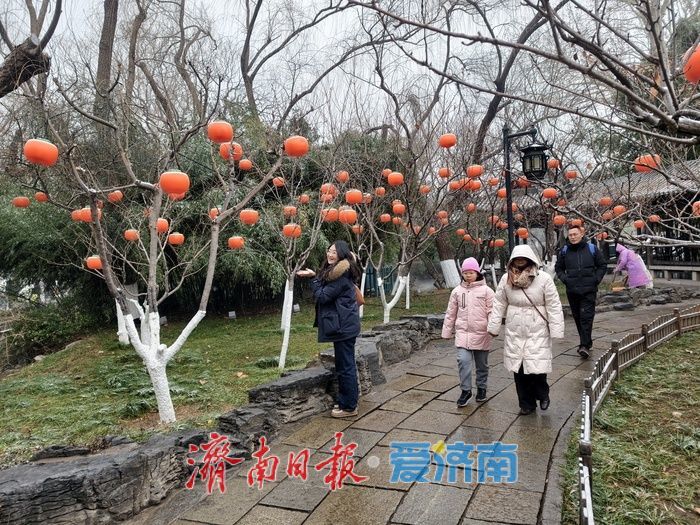 一年四季 泉在济南丨趵突泉畔花灯初绽，泉城年味渐浓