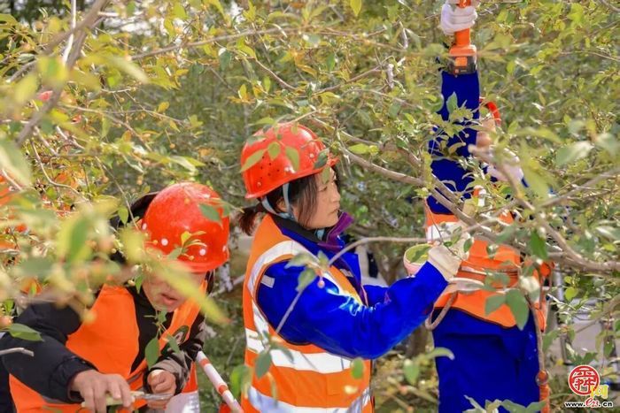 2025年“技耀泉城”海右技能人才大赛园林植物修剪职业技能竞赛成功举办