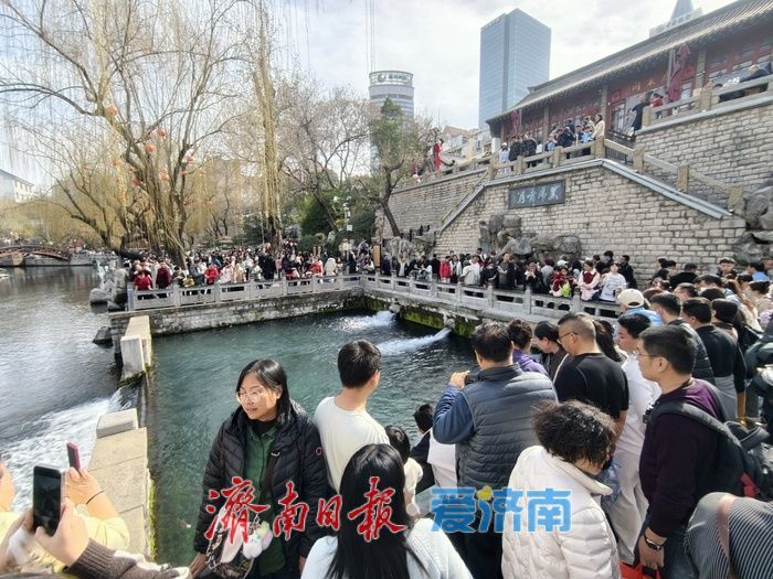 泉在济南过大年丨泉水游持续升温，赏泉品茗乐享新春