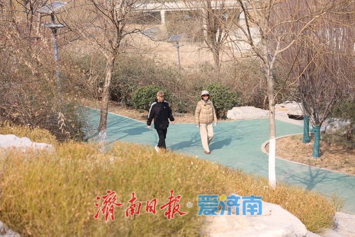 邂逅梧桐园街心公园，解锁闲适时光