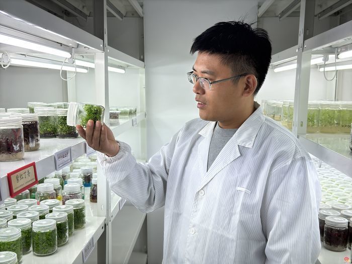 租房有补贴创业有扶持 槐荫区为青年“量身定制”未来