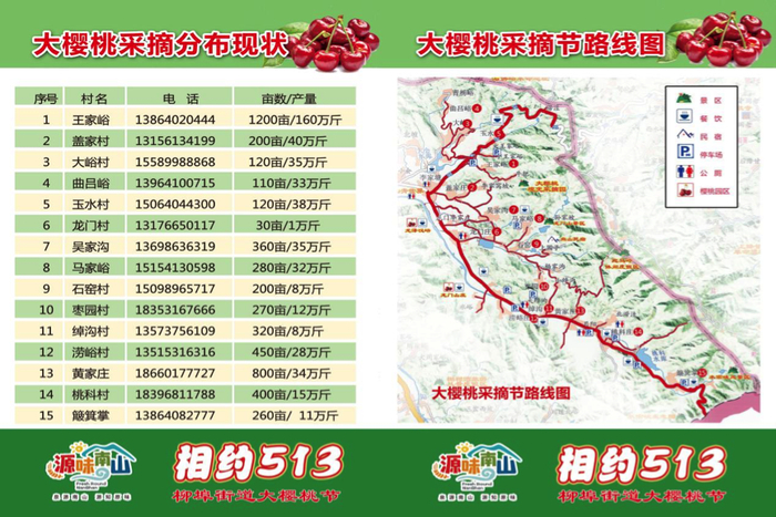 南部山区柳埠万亩大樱桃成熟 采摘路线图发布