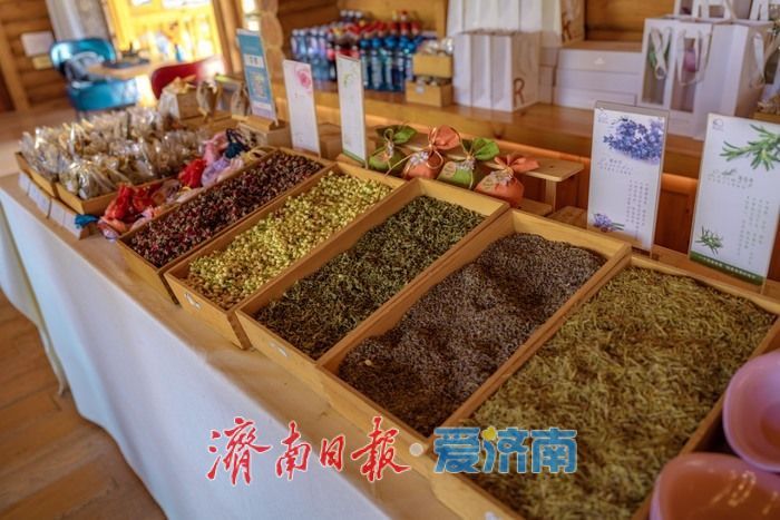 济南九如山：秋日斑斓如诗画，手工体验让秋天 “触手可得”