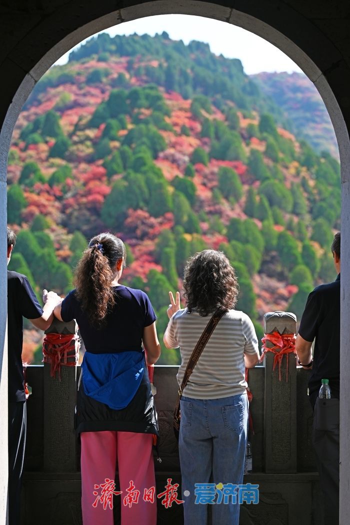 一年四季 泉在济南丨红叶初染 走进红叶谷遇见秋日限定浪漫！