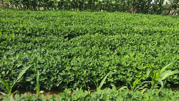 济南，“雨”见这些事