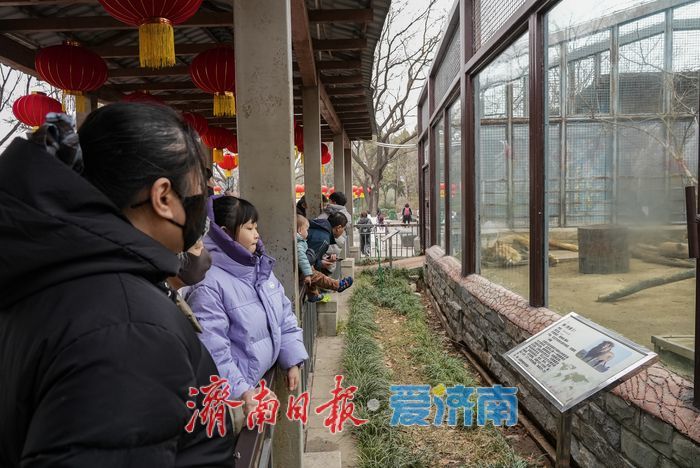 抓住假期的尾巴，寓教于乐欢度寒假