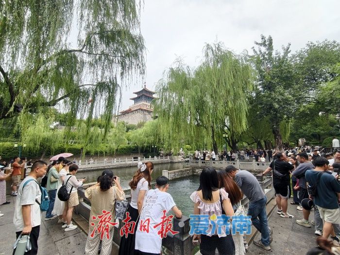 济南护城河游人如织尽显泉城风韵