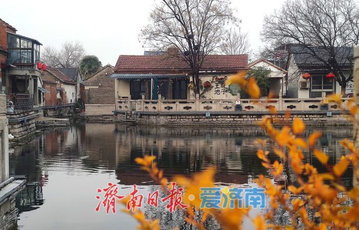 一年四季 泉在济南丨冬日王府池子泉韵悠悠醉游人