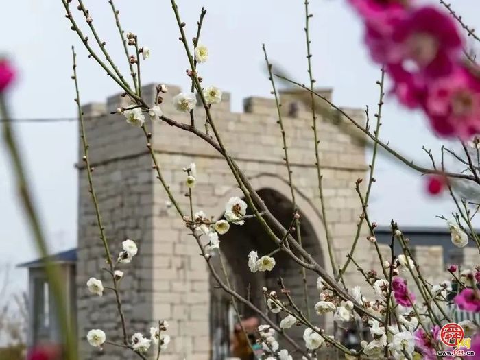观花官庄丨朱家峪：趁得风轻，莫负春日好时光