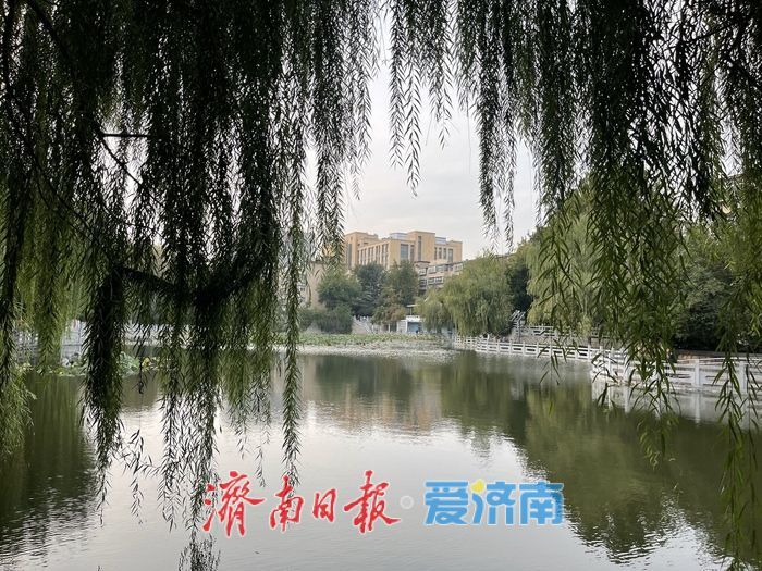 一年四季 泉在济南丨秋日无影潭：潭水映秋光，市井藏诗意