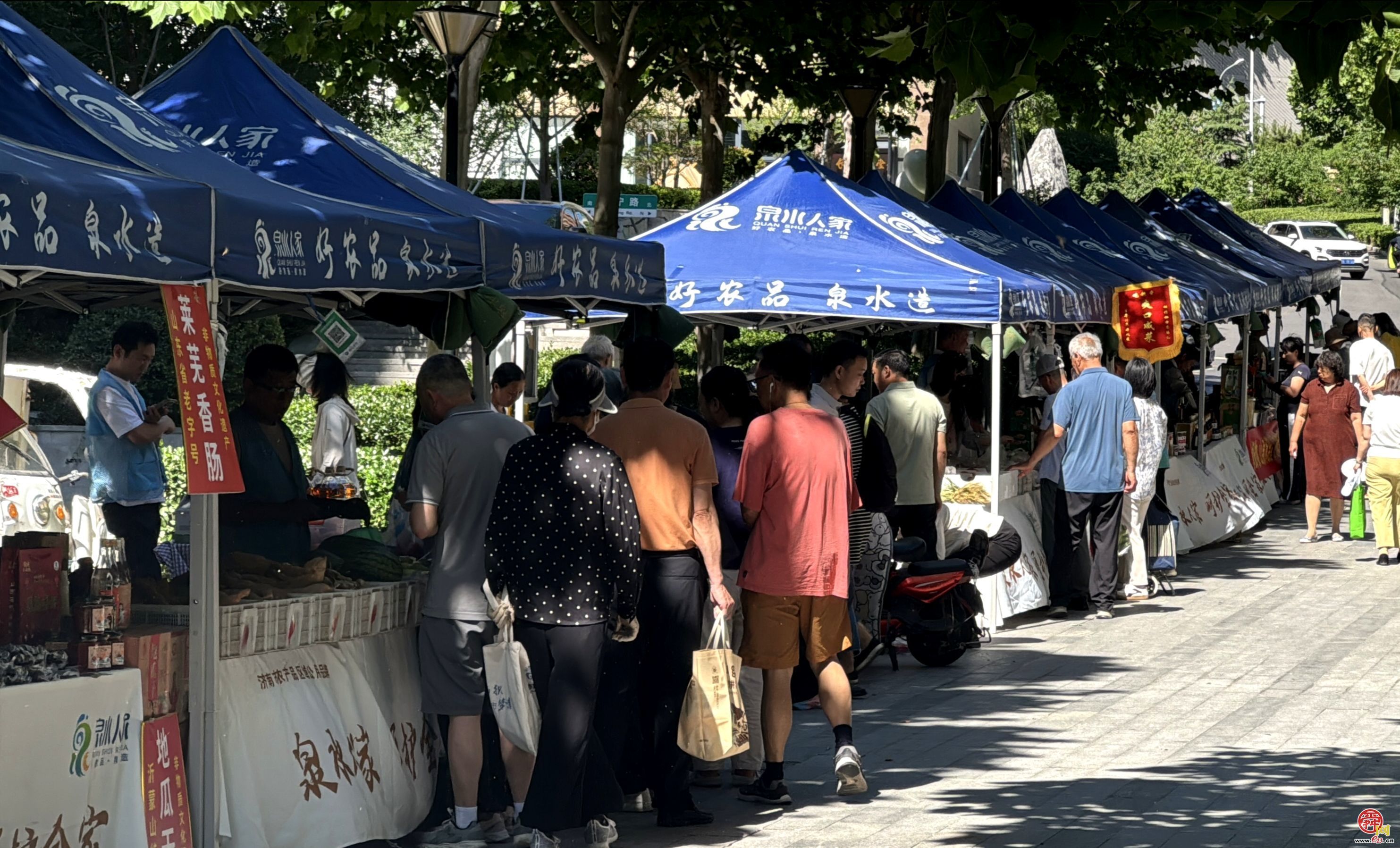 三十家泉城好物，两大经典游戏，数百邻里笑脸……东城逸家“熊孩子街”成“泉水人家”快乐主场