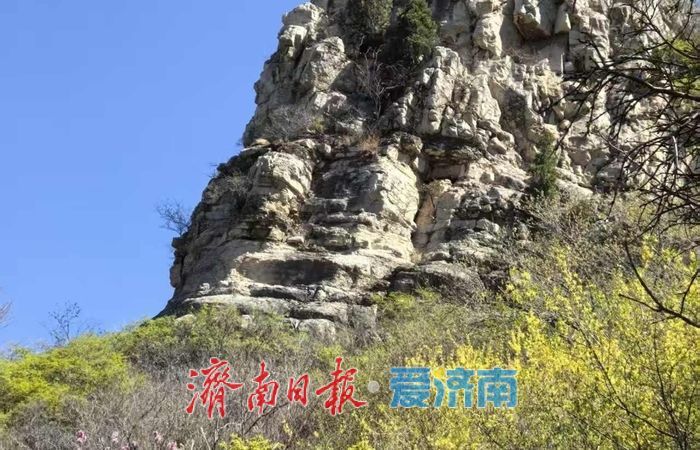年轻人解锁“慢充式旅游”，济南这些新场景氛围感拉满