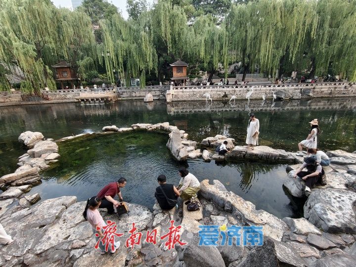 护城河畔觅清凉