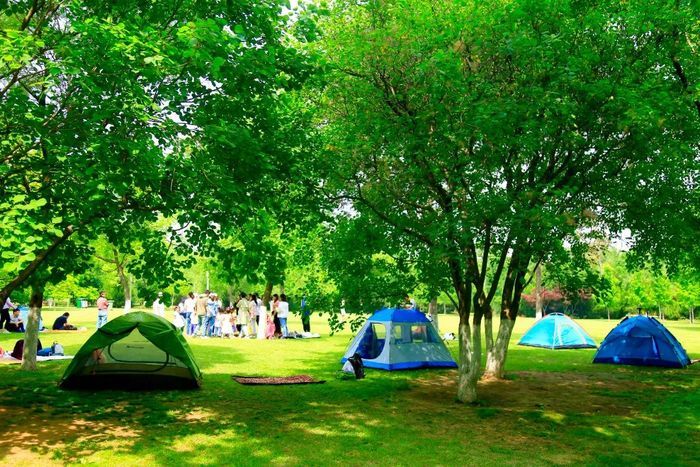 一年四季 泉在济南丨济南植物园开启自驾+帐篷之旅 解锁城市近郊的诗意栖居