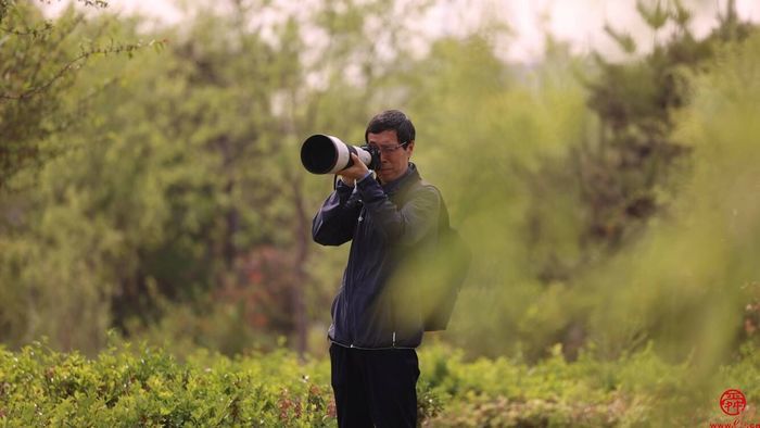 跟着鸟儿看济南②：风暖草木香 莫负鸟鸣声