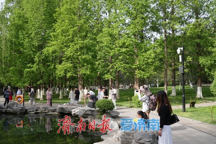 暮春时节绿意浓，济南五龙潭公园变身“绿野仙踪”