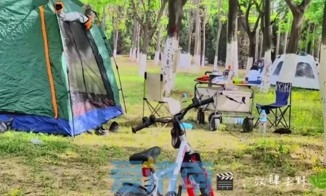 春日济南一路繁花，济南区县“五一”多彩文旅活动等你来打卡