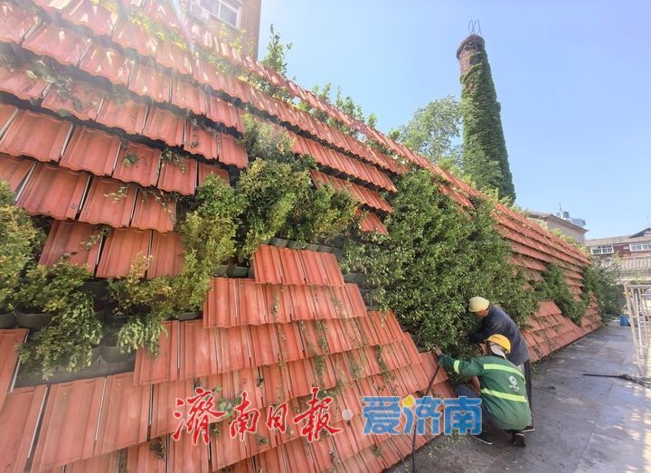 上新街持续“上新”，打造“五一”假期济南新兴旅游打卡点