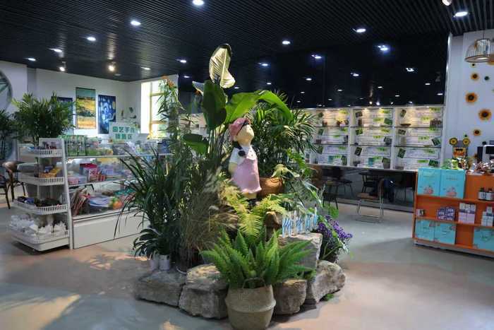园艺之美触手可及，济南市11家“泉民园艺中心” 全面开放