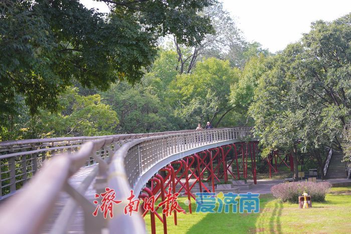 泉城公园秋景如画 晴日漫步赏秋享惬意