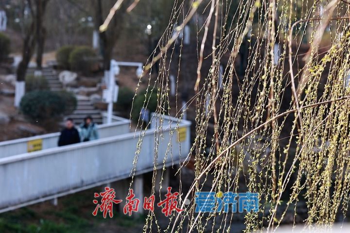 一年四季 泉在济南丨腊山河柳丝拂岸 春日美景引游人