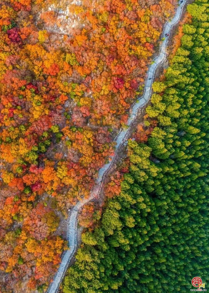 “双节”游济南 “一城山色登山打卡”小程序解锁泉城群山新玩法