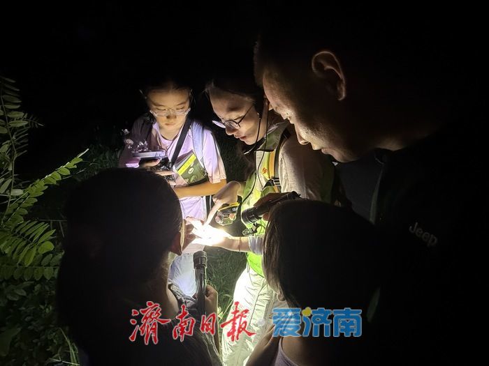 手电照见惊喜：佛慧山夜探虫趣浓，济南生态答卷更亮眼