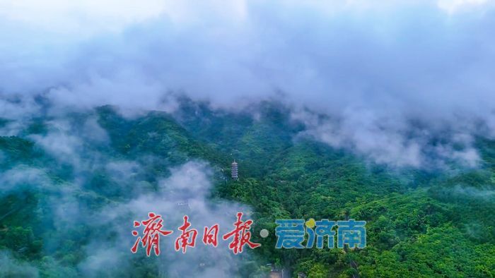 一年四季 泉在济南丨济南初夏秘境！雨后红叶谷云海翻涌，美到窒息
