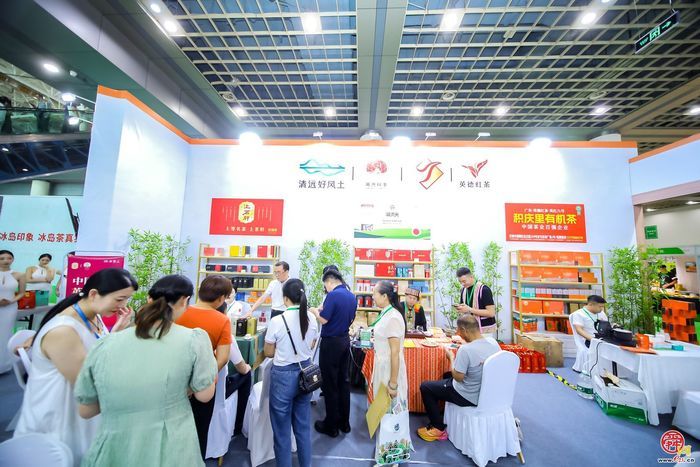 700家品牌茶企齐聚泉城 2024济南国际茶博会开幕