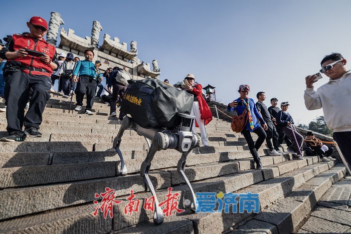 泰山之巅的对话——千年挑山工与科技机器狗并肩护生态