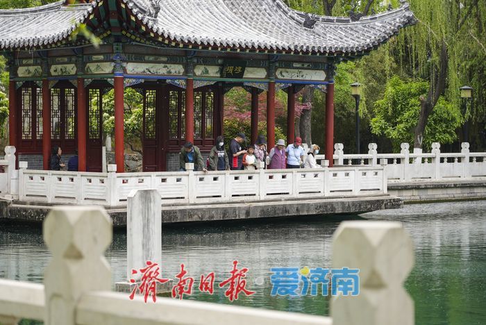 谷雨时节 济南珍珠泉泉涌如珠