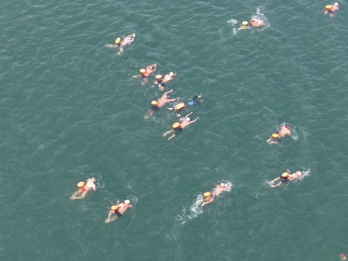 千名冬泳爱好者竞逐！第十三届中国济南冬季畅游泉水国际公开赛启幕