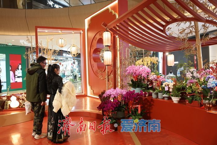 泉城年味气氛组已就位，是“蛇”候过年啦！