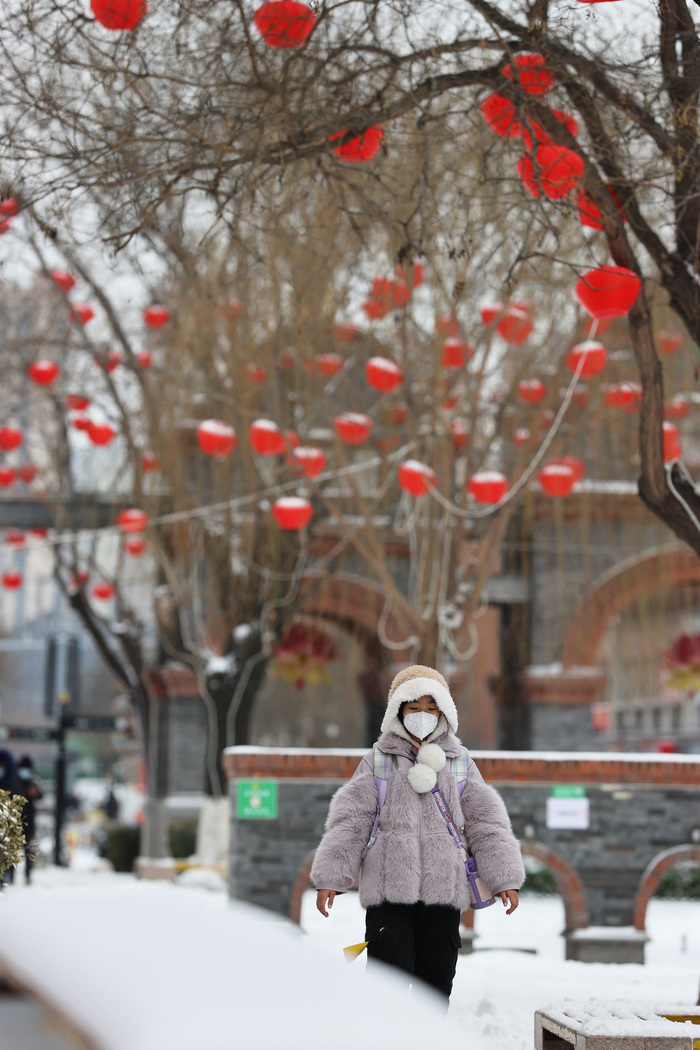 纷扬春雪润泉城 雪打花灯兆丰年