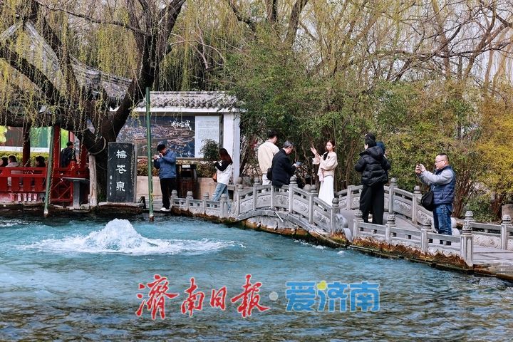 百脉泉公园梅花泉持续喷涌 春日泉景醉游人