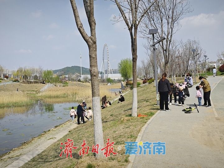 韩仓河景观带春意浓 生态美景成市民休闲好去处