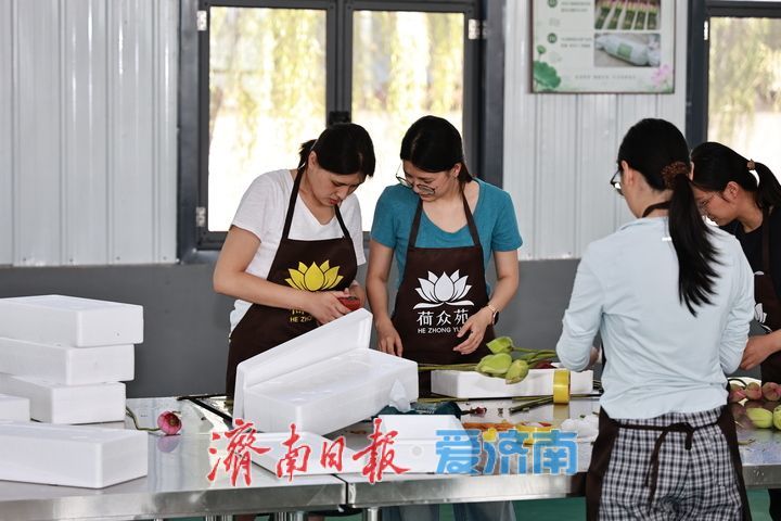 一枝鲜切荷铺就致富路