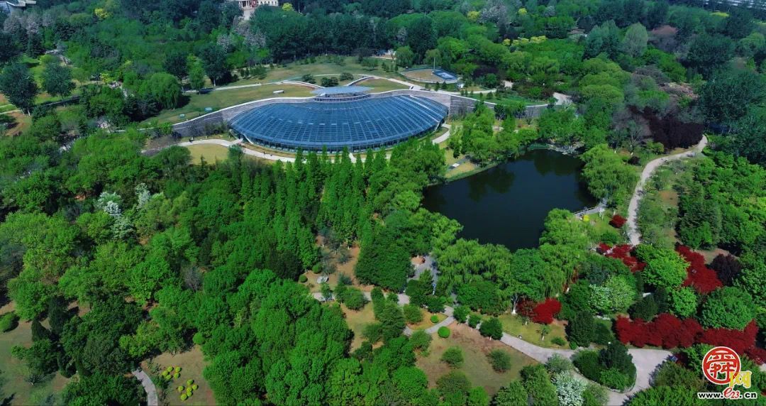 一年四季 泉在济南｜