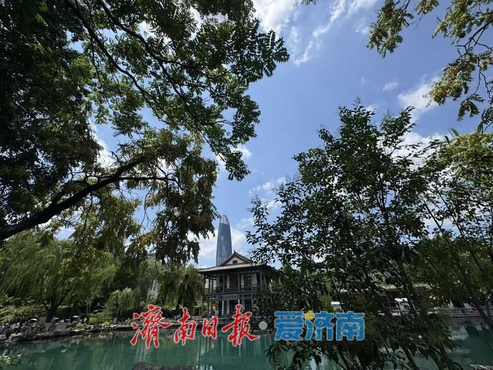 碧空如洗映龙潭 泉水绿树绘就泉城夏日画卷