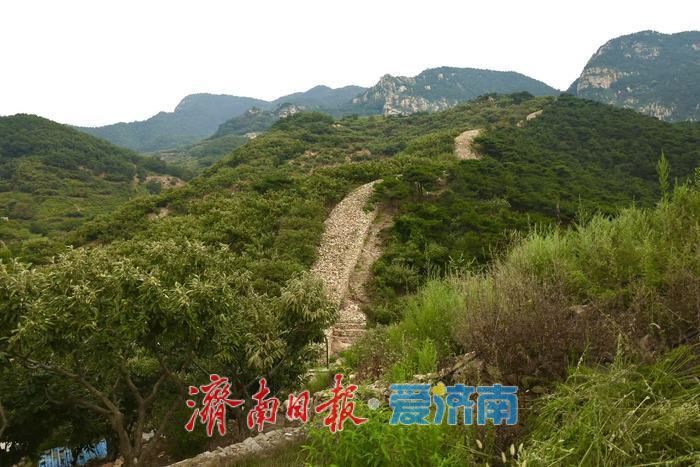 齐长城秋景如画 千年古垣诉说岁月古韵
