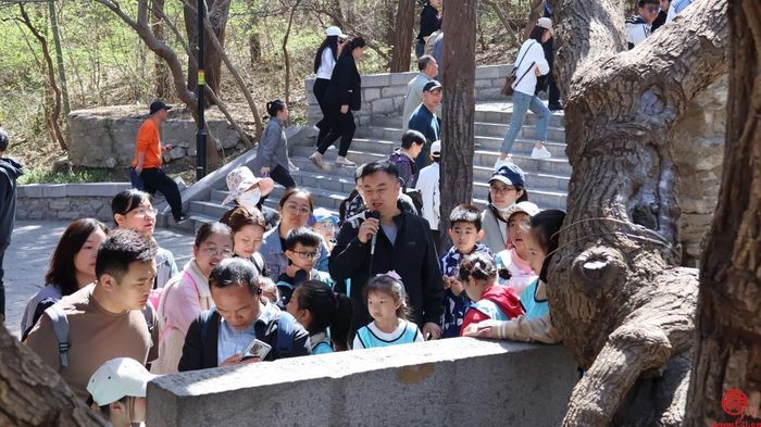 济南园·林惠民行 “年轮的故事”古树名木研学科普活动在千佛山成功举办