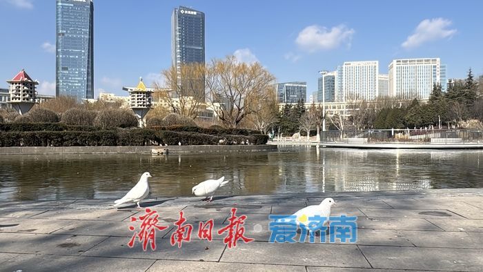 晴冷天遇湛蓝晴空 济南齐鲁软件园暖意融融