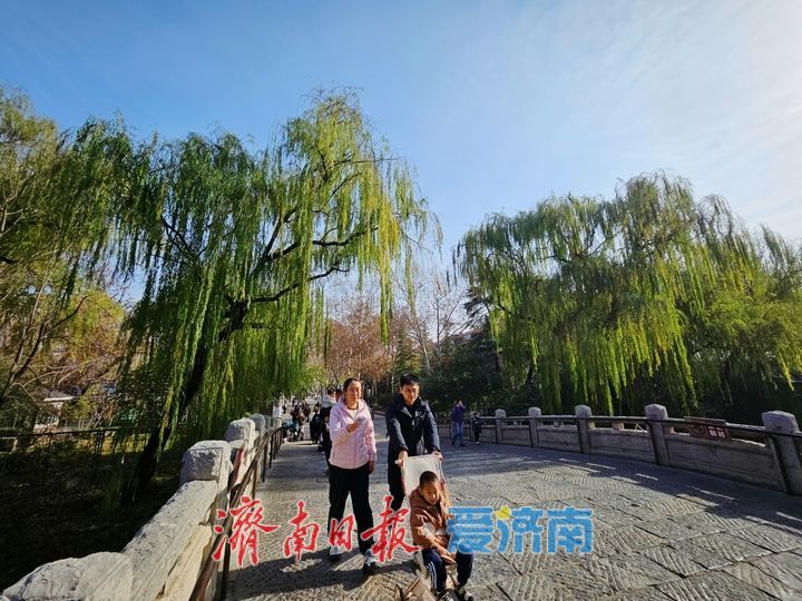 一年四季 泉在济南丨拥抱自然 乐享美好时光