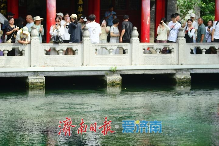 一年四季 泉在济南丨雨助泉涌，济南趵突泉水位4天上涨17厘米
