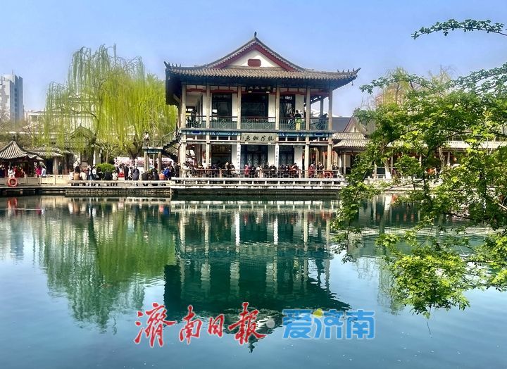 一年四季 泉在济南丨泉畔春樱盛 五龙潭变“打卡”胜地