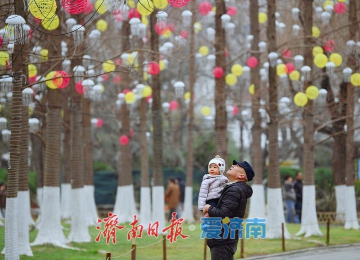 济南天下第一泉迎春花灯会进入安装阶段，园区渐展“奇幻”容颜